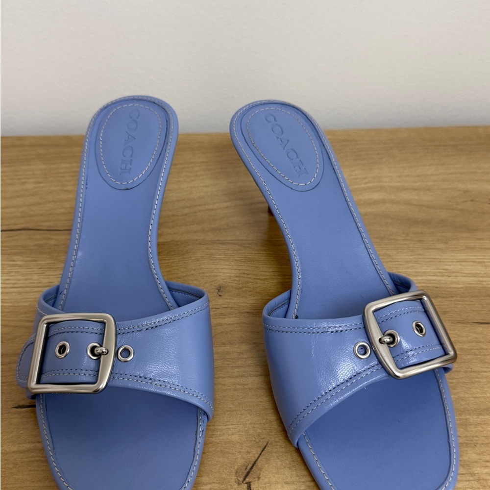 Coach Blue Mules with Silver Buckle